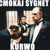 Avatar for YuIek