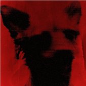 Screenshot_20250912_073104_Bandcamp.jpg
