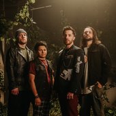 Stray View, 2024 promo photo