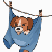 Avatar for Hondenkoekje