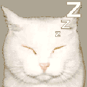 Avatar for ennifairy