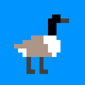 Avatar di GeeseInvasion