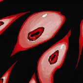 Nabooze420 için avatar