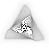 Avatar for nessio