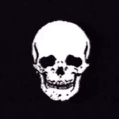 Avatar for roobit77