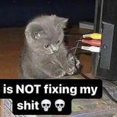 Avatar for catpinn
