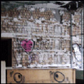 SpiritOfMadness için avatar