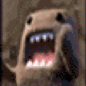 Avatar for royjn