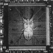 R-11374378-1625121487-9764.jpg