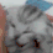 Avatar for psyvpsy