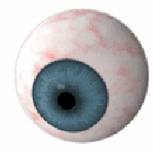 Avatar for RBTRN
