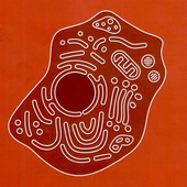 Avatar di nicophonic