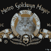 Avatar für bizitza