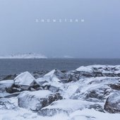 Snowstorm - Single