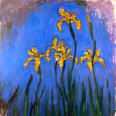 Avatar for desgraciador