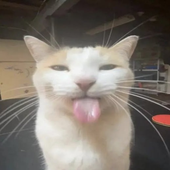 Avatar für kyyyuh_