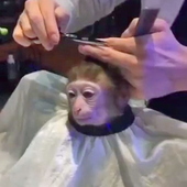 Avatar für smferrero9