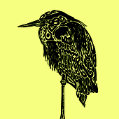 Avatar for Marrejam