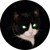 Avatar for MaxPayne147