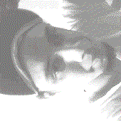 Avatar for viniciusoli