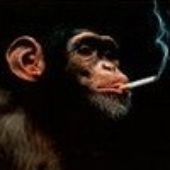 Avatar for pet_snake