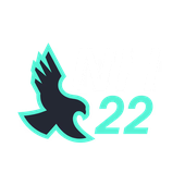 Nighthawk22