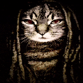 Avatar for lil-poto