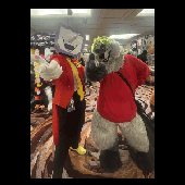 Avatar for largeraccoon