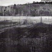 Tubular Void
