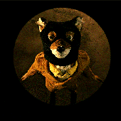 yokitsu için avatar