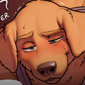 Avatar for NedBearF