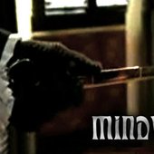 Mindvoid