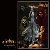 Phantasmagoria: Hexed Lands