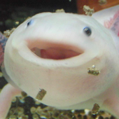 Avatar for Modlizard