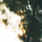 Avatar for sob