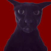 Avatar for MohamedFSanchez
