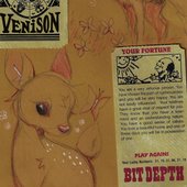 Venison