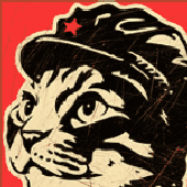 Avatar for MeneerTim