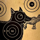 target practice