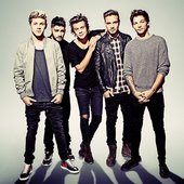1D SNL