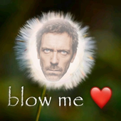 Avatar für cloudyqiqi