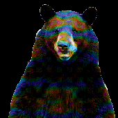 Avatar for ogorski