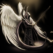 Avatar di dpedol
