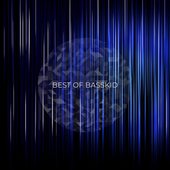 Best of Basskid