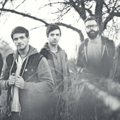 The Color Morale NEW PRESS PHOTO 2013 HQ PNG