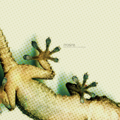 Avatar di Fusco