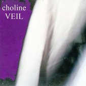 'Veil' Single Cover