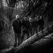 Befallen (US).jpg