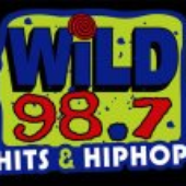 Avatar for WiLD987