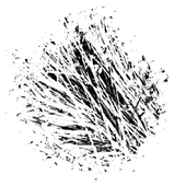 Avatar di donwood
